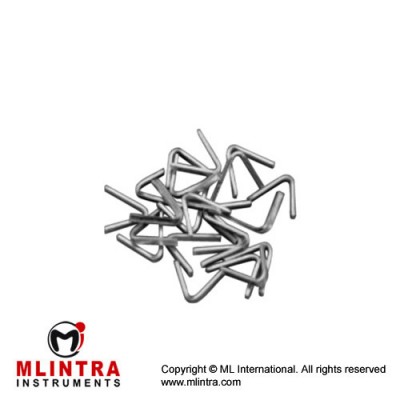 Silver Brain Clips Pack of 100 Stainless Steel, Standard Silver Brain Clips Pack of 100 Stainless Steel, Standard